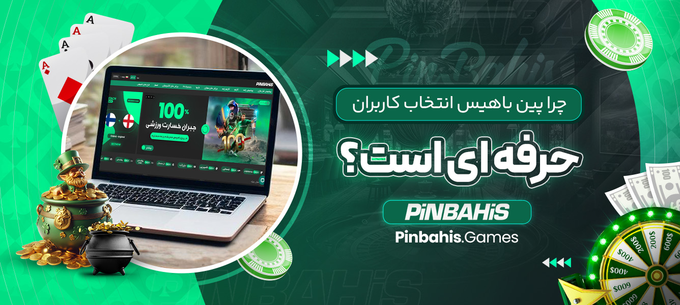 چرا پین باهیس انتخاب کاربران حرفه‌ ای است؟